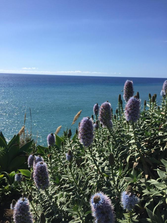 Calheta Ocean View Apartments 1 - Air Condition Estreito Da Calheta 외부 사진